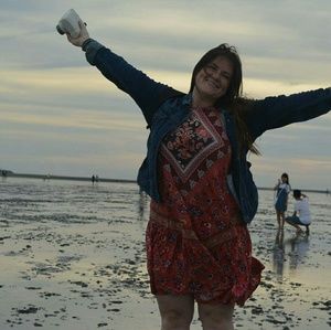 American Eagle high neck swing dress